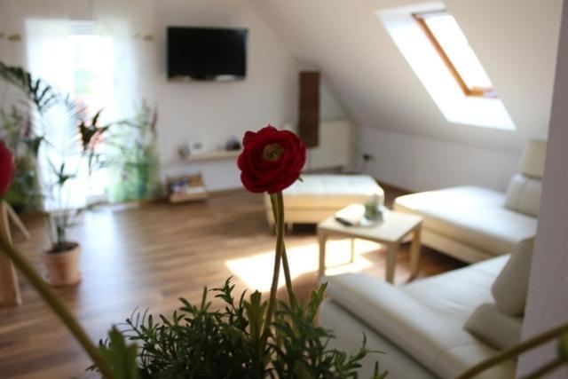 Lindenhof Hotel Thiendorf Værelse billede