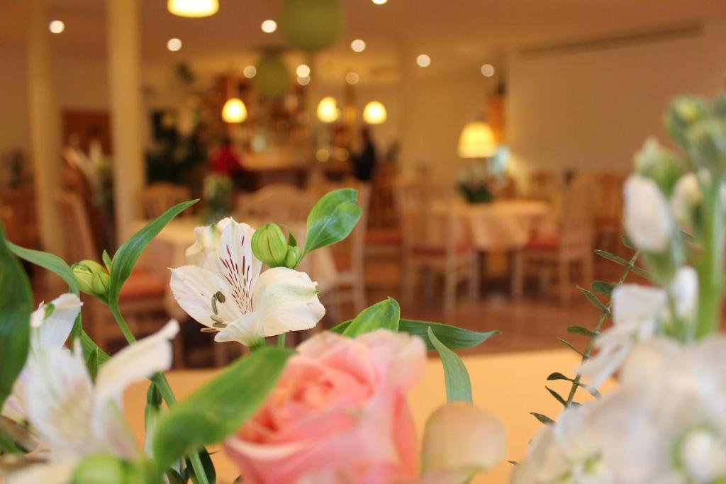 Lindenhof Hotel Thiendorf Eksteriør billede