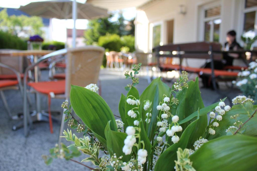 Lindenhof Hotel Thiendorf Eksteriør billede