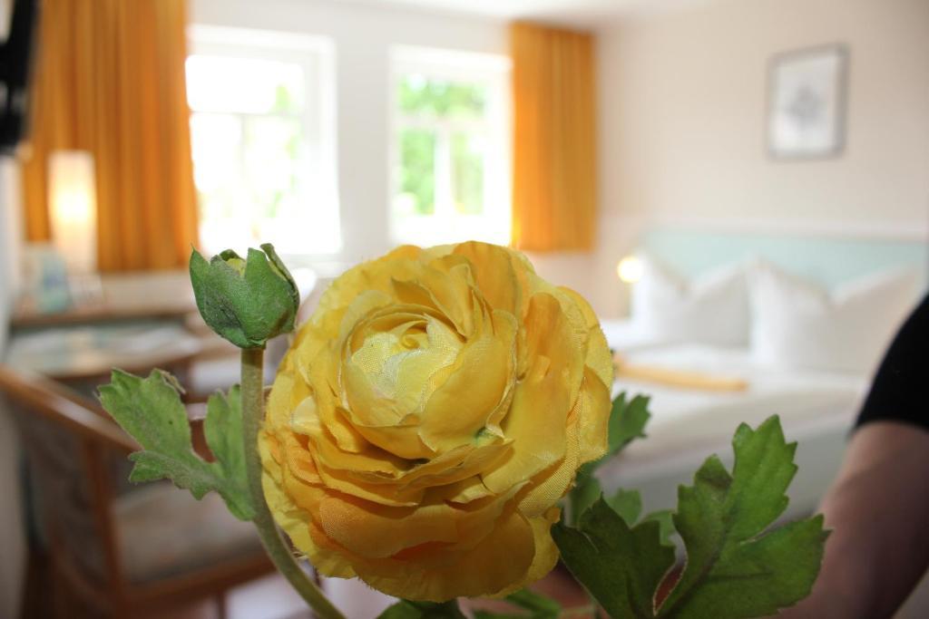 Lindenhof Hotel Thiendorf Værelse billede